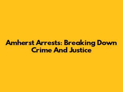 Amherst Arrests: Breaking Down Crime And Justice
