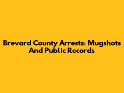 Brevard County Arrests: Mugshots And Public Records
