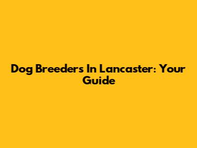 Dog Breeders In Lancaster: Your Guide