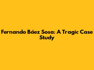 Fernando Báez Sosa: A Tragic Case Study
