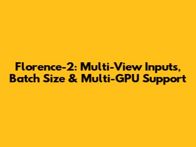 Florence-2: Multi-View Inputs, Batch Size & Multi-GPU Support