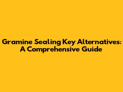 Gramine Sealing Key Alternatives: A Comprehensive Guide