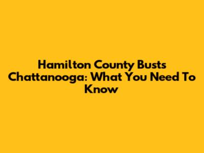 Hamilton County Busts Chattanooga: What You Need To Know