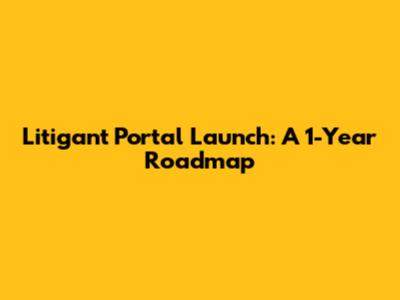 Litigant Portal Launch: A 1-Year Roadmap