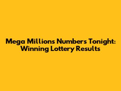 Mega Millions Numbers Tonight: Winning Lottery Results