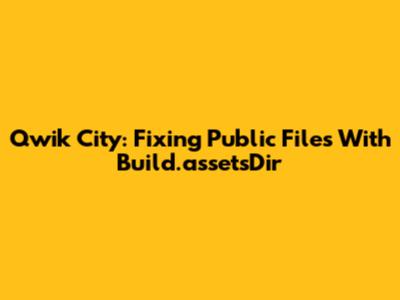 Qwik City: Fixing Public Files With Build.assetsDir