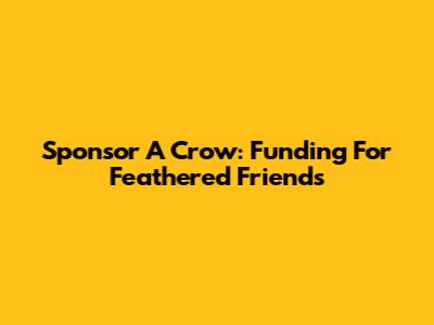 Sponsor A Crow: Funding For Feathered Friends