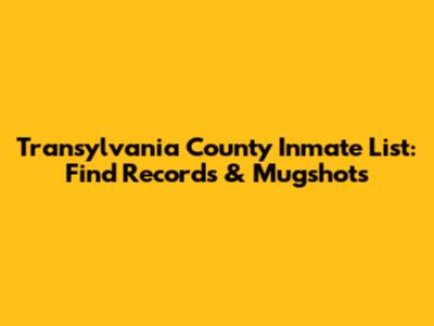 Transylvania County Inmate List: Find Records & Mugshots