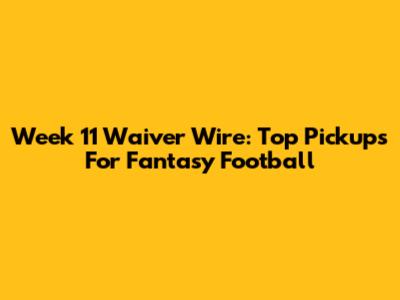 Week 11 Waiver Wire: Top Pickups For Fantasy Football