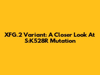 XFG.2 Variant: A Closer Look At S:K528R Mutation